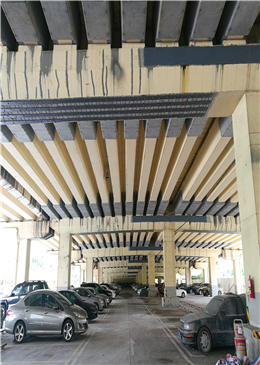 1、東南西環(huán)東圃互通立交南主線橋等2座四類橋梁加固維修工程 (3).jpg